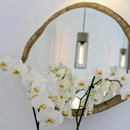 Nida Mykonos Appart hôtel 4*